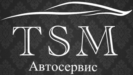 TSM-Service.ru